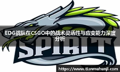必赢电竞